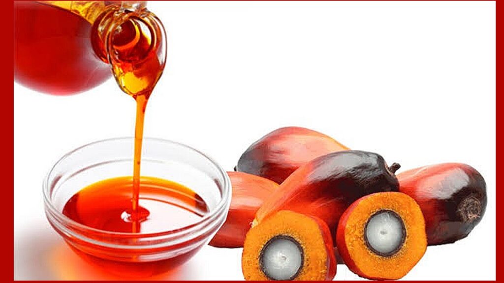 How to Start a Palm Oil Business in UK